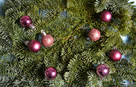 Christmasの写真素材