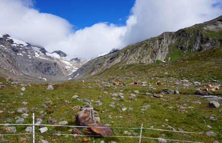 Hohe Tauern National Park viewの写真素材