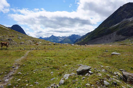 Hohe Tauern National Parkの写真素材
