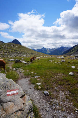 Hohe Tauern National Parkの写真素材