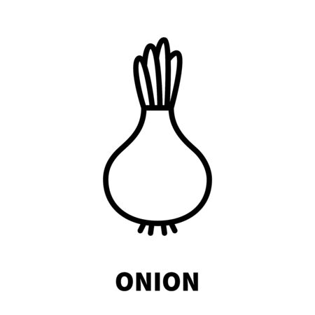 Onion icon  in modern line style. High quality black outline pictogram for web site design and mobile apps. Vector illustration on a white background.のイラスト素材