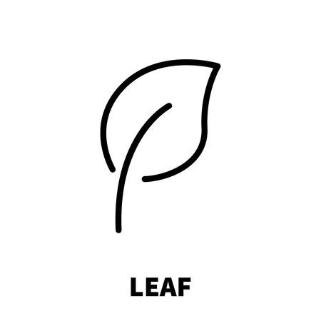 Leaf icon or logo in modern line style. High quality black outline pictogram for web site design and mobile apps.のイラスト素材