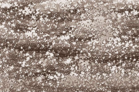 Flour spread on a table in a bakery storeの写真素材