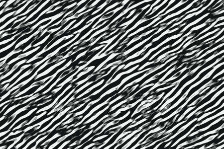 Zebra black and white stripes and skin patternsの写真素材
