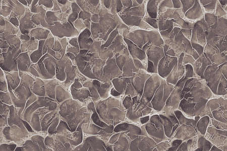 Abstract animal shell backgroundの写真素材