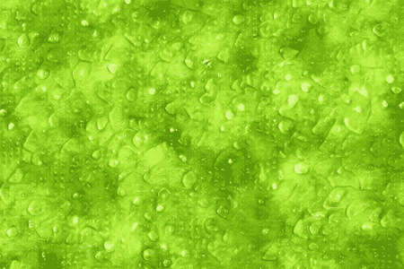 Abstract green backgroundの写真素材