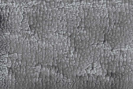 Texture of burnt black woodの写真素材