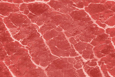 Texture of red meat with white veins patternsの写真素材