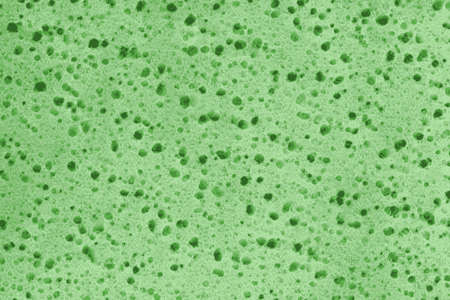 Green spongy textureの写真素材