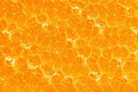 Abstract texture of  orange   flesh  backgroundの写真素材
