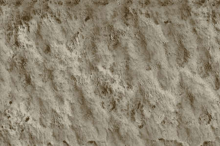 Abstract bone texture backgroundの写真素材