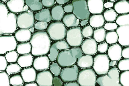 Abstract green biological cells and membrane under the microscope