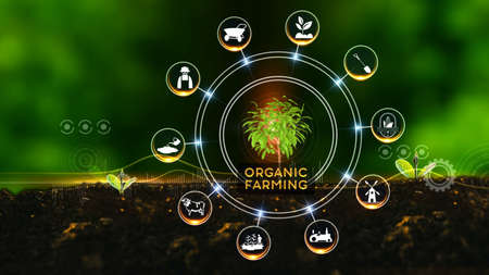 Smart Farming Concept.
Green environment with Center and spoke Concept ,Plant on center and rotating Iconsの写真素材