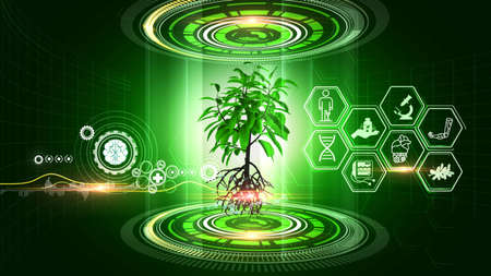 Bio Medical Concept  Virtual Reality
A virtual reality 3d graphics showing rotating 3d plant model with  icons on surroundingの写真素材