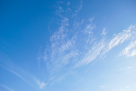 gentle clouds in the blue sky