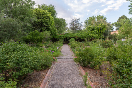 garden with stone stairs and flowerbeds in a sunny dayの写真素材