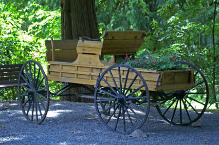 Old Horse Buggyの写真素材