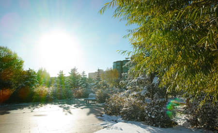 Landscape view of a garden during the snowの写真素材