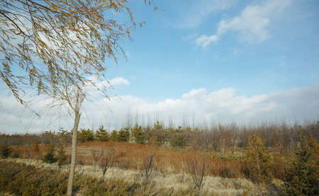 Roadside sceneryの写真素材