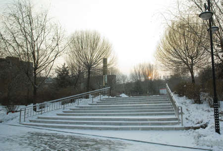 Garden during winterのeditorial素材