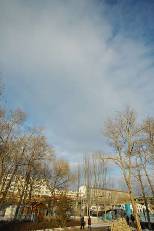 Garden sceneryのeditorial素材