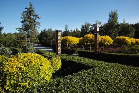 scenery in gardenのeditorial素材