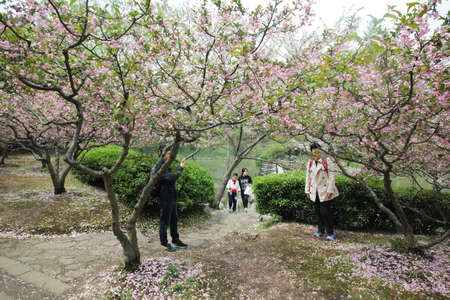 Turtle Head Islet in Taihu landscape viewのeditorial素材
