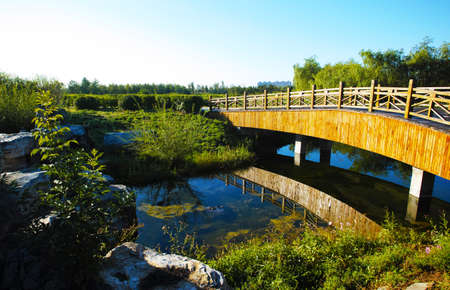 Park sceneryの写真素材