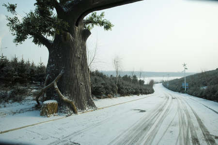winter scenery in Inner Mongoliaのeditorial素材