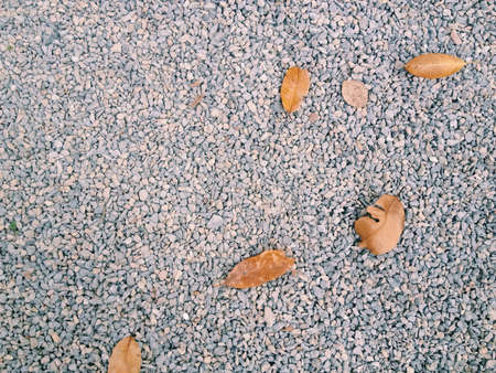 Rock and dry leavesの素材