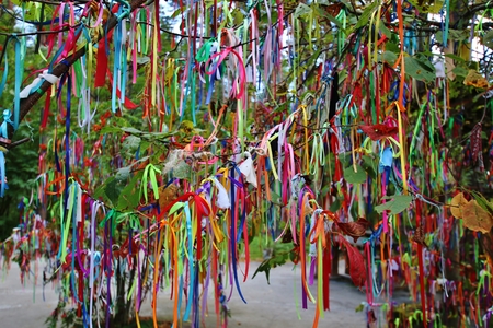 colored tape on a tree branch in park, Siberia, Russiaの写真素材