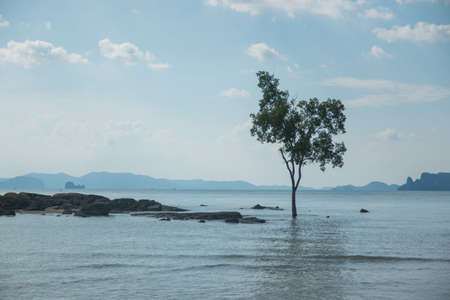 beautiful beach in Krabi, Thailand
