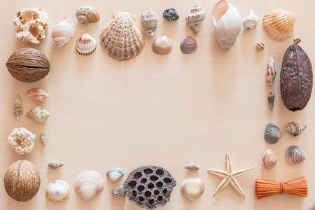 Sea shells frame on light wooden backgroundの写真素材