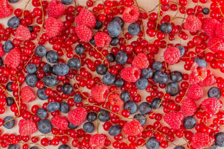 Fresh Berries Background. Blueberries, red currants, raspberries and blueberriesの写真素材