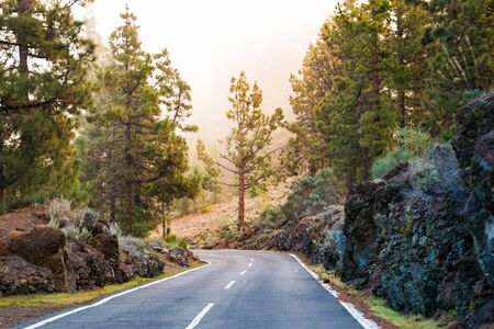 Road in clouds on Teide mountains in Tenerife, Canary Islands, Spainの写真素材