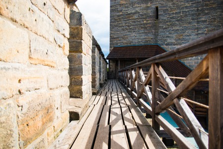 View of kost castle, gothic castle in bohemia