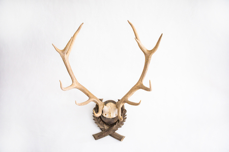 Predjama, Slovenia - 13.08.2018: Interior Horns of a deer on a wall in a castle, Sloveniaのeditorial素材