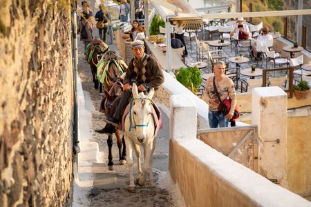 Thira, Santorini - 18.10.2018: Man on Traditional Donkey on Stairs in Thira, Santorini Island in Greeceのeditorial素材