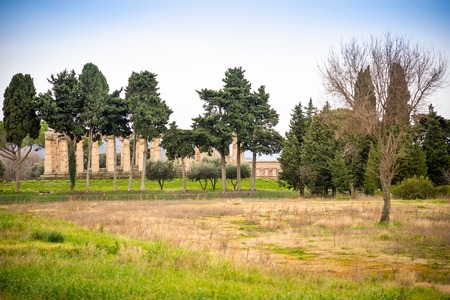 Old ruins of Neptune Temple in paestum in Italyの写真素材