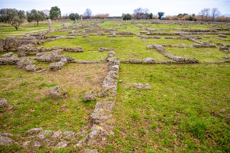 Old ruins of ancient Greek city in Paestum in Italyの素材 [FY310117983025]