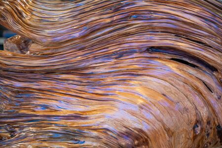 Sandalwood closeup, tree texture background, artificial incision