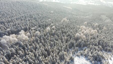 Aerial view of white spruce trees covered in fresh snow on sunny winter day in mountain next to Liberec, Czech Republicの写真素材