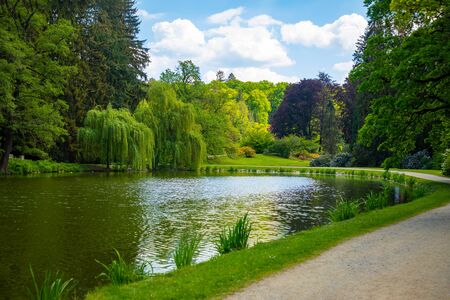 Wonderful nature in spring day in Pruhonice Park, Prague, Czech Republicの写真素材