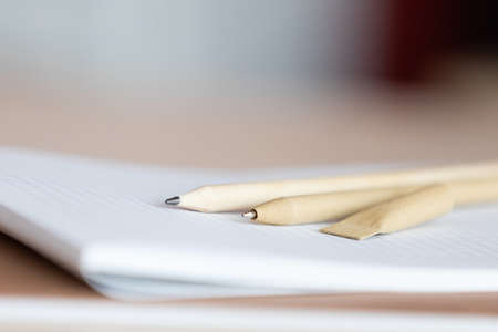 Reusable eco-friendly craft paper pen and pencil on the notebook. Writing ballpoint pen, environmental protection, ecology, natural materials, recycling conceptの写真素材