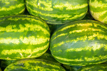 A Lot Of Big Sweet Green Organic Watermelons In The Farmers turkish market in Antalia, Turkey. Nutrition And Vitamins. Healthy Raw Foodの写真素材