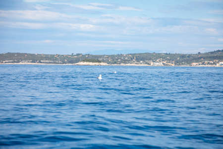 View from water of rocky shore of island in Croatiaの写真素材