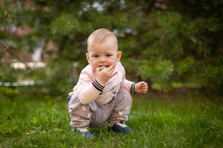 Sweet baby girl playing on green grass in park in springの写真素材