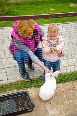 Kemerovo, Russia - 16.05.2021: Feeding of farm animals in a private contact zoo - ostrich ranch in Kemerovo, Russiaのeditorial素材