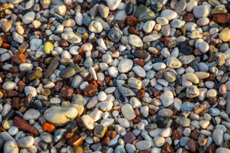 Background of wet stones on a beach surface near water