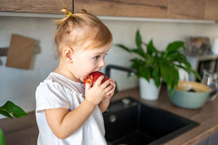 Baby girl blonde eating an apple in the kitchen, concept of healthy food for childrenの写真素材